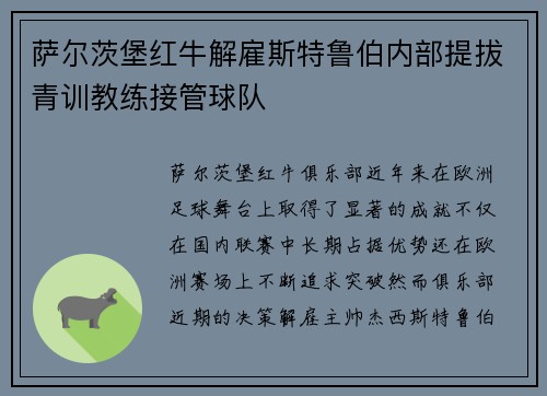 萨尔茨堡红牛解雇斯特鲁伯内部提拔青训教练接管球队